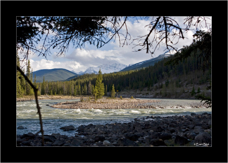 20090527_IMG_9327_Jasper.jpg