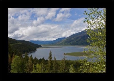 20090520_100_8868_Revelstoke-National-Park.jpg