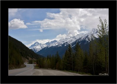 20090521_100_8946_Rogers-Pass.jpg