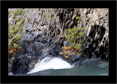 20090521_183_8392_Kicking-Horse-River.jpg