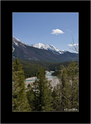 20090522_100_9103_Kooteney-National-Park.jpg