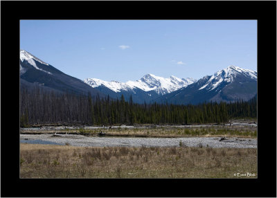 20090522_100_9104_Kooteney-National-Park.jpg