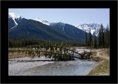 20090522_100_9106_Kooteney-National-Park.jpg