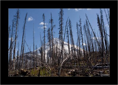 20090522_100_9144_Marble-Canyon.jpg