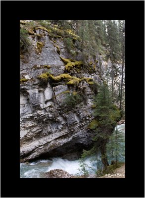 20090524_IMG_8499_Johnston-Canyon.jpg