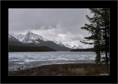 20090526_IMG_8527_Maligne-Lake.jpg