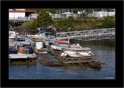 20090530_IMG_9395_Prince-Rupert.jpg