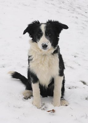 snow day! (5 months old)