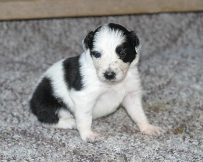 female2 3wks