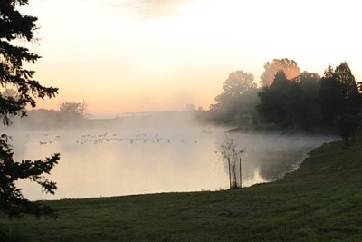 sunrise at Edgeworth's front pond