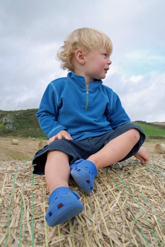 Baled
