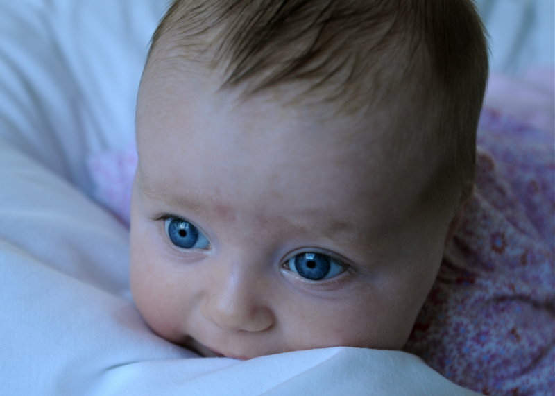 Blue Eyes 3