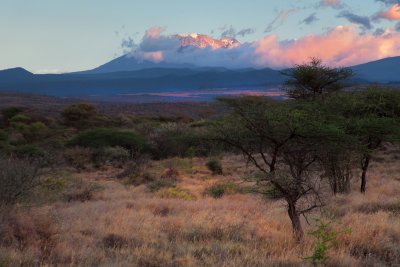 Kilimanjaro-IMG_9618.jpg