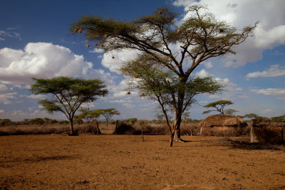 Maasai Homestead-IMG_0564.jpg