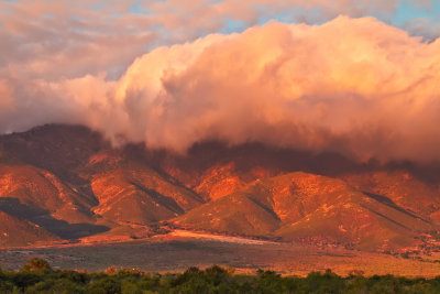 Volcan Mountain, CA