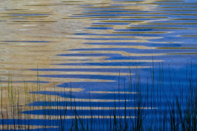 Blue and Gold.jpg