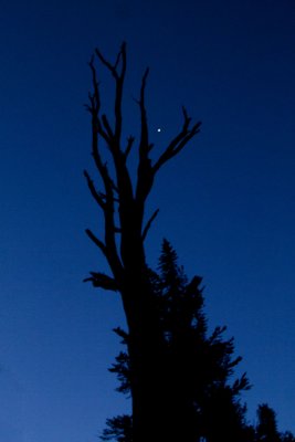 Sierra Light