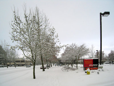 IMG_0169.jpg