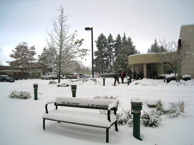 IMG_0170.jpg