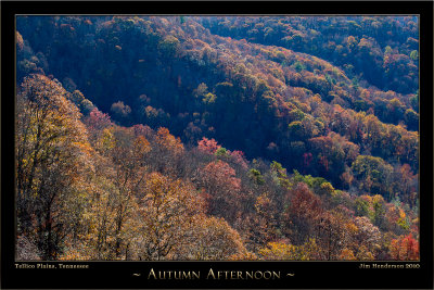 IMG_7254_30 x 20 Autumn Afternoon_.jpg