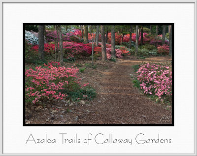 Brochure Azalea Trails of Callaway.jpg