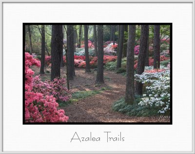 Brochure Azalea Trails.jpg