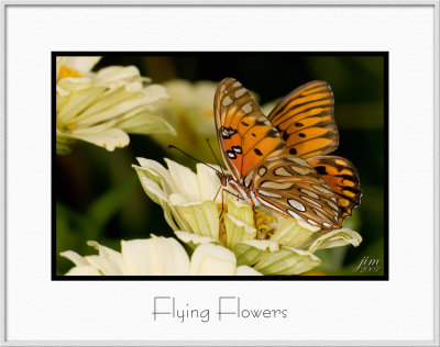 Brochure Flying Flowers.jpg