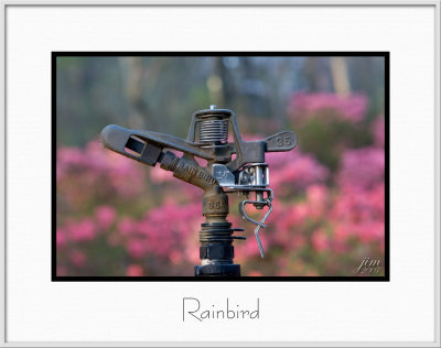 Brochure Rainbird.jpg
