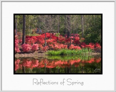 Brochure Reflections of Spring.jpg