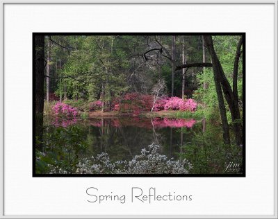 Brochure Spring Reflections.jpg