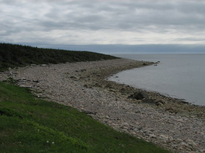 Shoreline - Gros Morne
