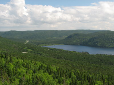 Bonne Bay Little Pond