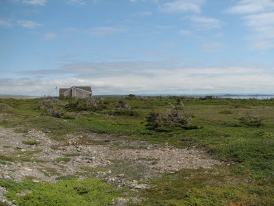 Limestone Barrens, Port au Choix Interpretive Centre