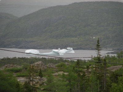 Icebergs aground in St. Anthony Harbour