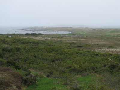 L'Anse aux Meadows Site