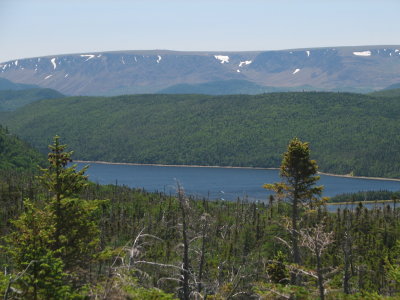 From the Gros Morne trail