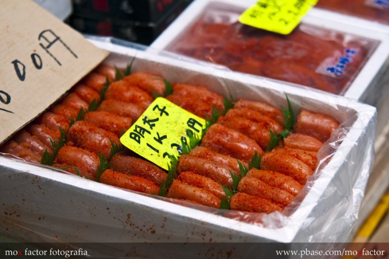 Tokyo 東京 - 築地 Tsukiji - 明太子 Mentaiko