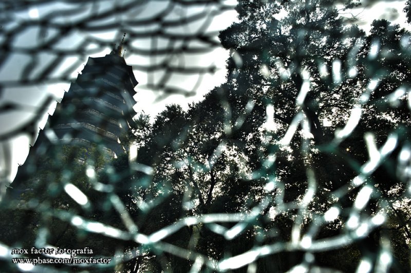 Changzhou 常州 - 紅梅公園 Hongmei Park