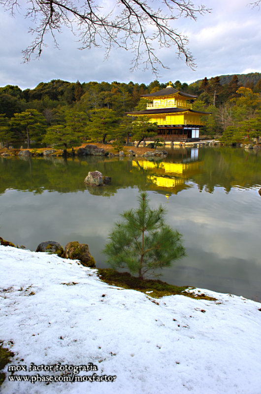 Kyoto 京都 - Kinkakuji 金閣寺