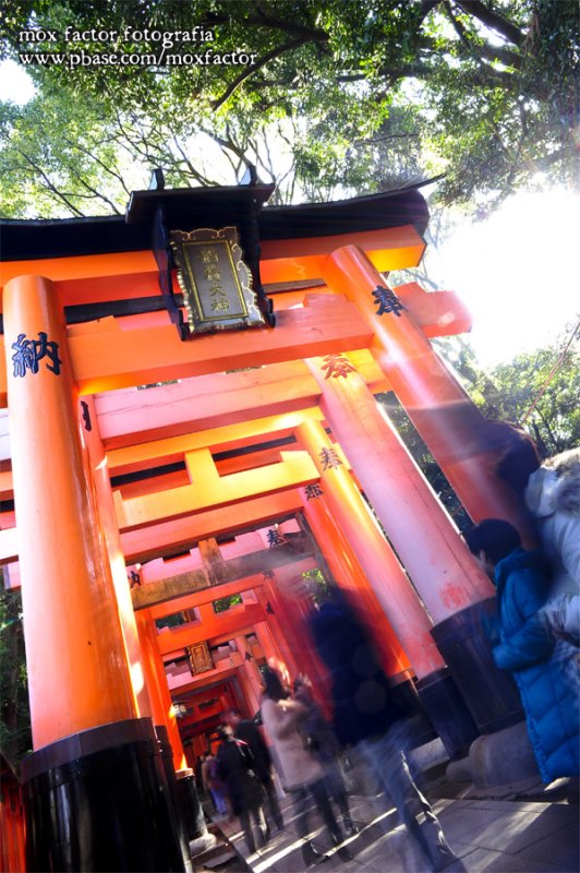 Kyoto 京都 - 伏見稲荷大社