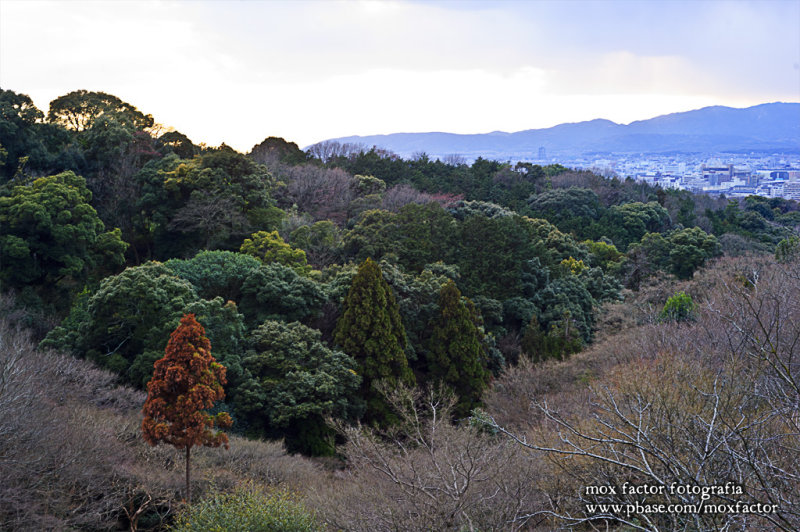 Kyoto 京都 - Kiyomizudera 清水寺