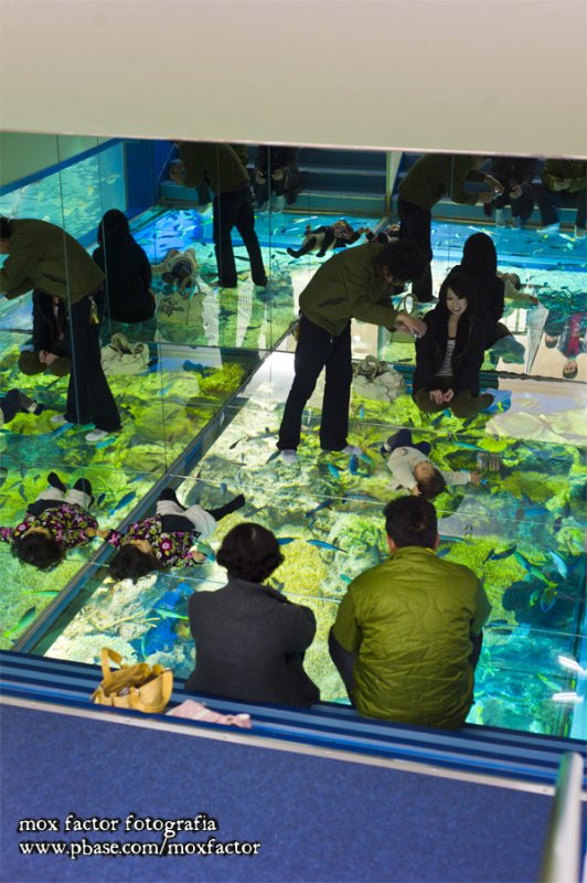 Mikuni 三国 - 越前松島水族館