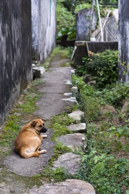 西貢麥理浩徑二段