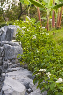 Hong Kong 香港 - Kowloon Fortress Park