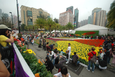 Hong Kong 香港 - 維多利亞公園 Victoria Park - 2008 Flower Fest