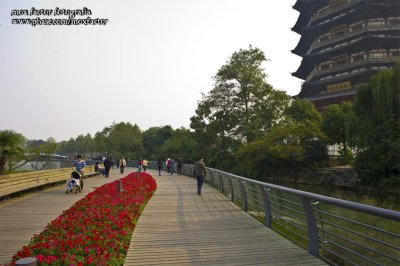 Changzhou 常州 - 紅梅公園 Hongmei Park
