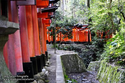 Kyoto 京都 - 伏見稲荷大社