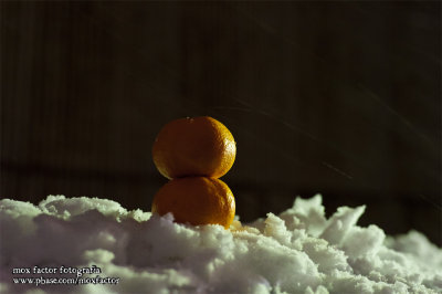 Kanazawa 金沢 - outside hotel, we were burying mandarin oranges in snow for extra sweetness