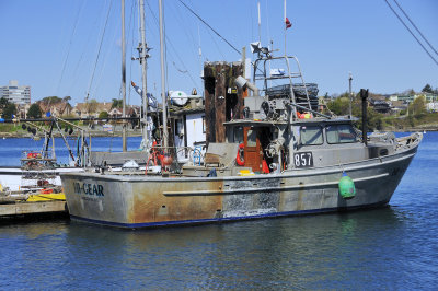 Working Boat