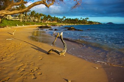 Maui